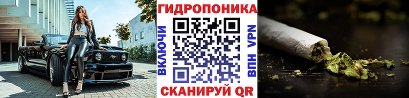 закладки  Верхнеуральск  Бошки марихуана Amnesia 